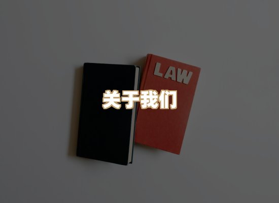 关于昭瑞电子书